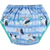 Nappy Close Caboo Treniruočių apatiniai Mėlyna Puffin S, 1 vnt.