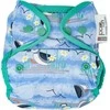 Close Caboo daugkartinės sauskelnės Pop-in AIO Mėlyna Puffin 4.5-16 kg, 1 vnt.