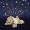 CLOUD B migdukas projektorius Dream Puppy