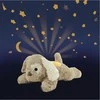 CLOUD B migdukas projektorius Dream Puppy