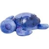 Cloud B Tranquil Turtle violetinė