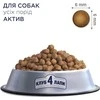 Club 4 Paws CLUB4Ł PYS 14kg ACTIVE
