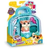 Cobi Interaktyvi figūrėlė Little Live Pets – Ouchies žiurkėnas