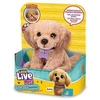Cobi Pliušas Little Live Pets – mano šuniukas