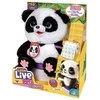 Maskotka Interaktyvus talismanas „Little Live Pets Panda“