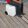 Coleman 50QT ratinis jūrinis 47 l aušintuvas
