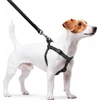 Collar Antkaklis WAU ŠUNŲ PARAŠAS VANDENĮ ATSPIRUS 2.0/305cm PVC Juodas