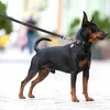 Collar Antkaklis WAU ŠUNŲ PARAŠAS VANDENĮ ATSPIRUS 2.0/305cm PVC Juodas