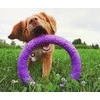 Šuns įrankis Puller Midi Waudog 19.5 cm