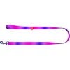 WAUDOG gradientinis nailoninis pavadėlis šuniui, 15 mm pločio, 122 cm ilgio, violetinis