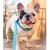 Collar WAU ŠUNŲ VANDENIUI ATSPARUS PAVADIS 2.0/305cm PVC, ŠVIEČIANTIS TAMSOJE