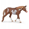 Collecta COLLECTA AMERIKINIŲ DAŽŲ ERŽELAS KAŠTANAS