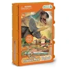 Collecta COLLECTA PLAYBOOK PRIEŠISTORIJOS PASAULIS