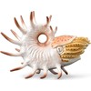 Collecta Figūrėlė Cooperoceras (XL)
