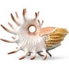 Collecta Figūrėlė Cooperoceras (XL)