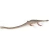 Collecta Figūrėlė - Elasmosaurus