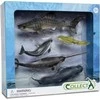 Collecta 5 jūrų gyvūnų rinkinys pakuotėje 89671 COLECTA