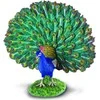 Collecta Figūrėlė - Paprastasis povas
