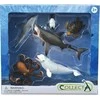 Collecta Jūrų gyvūnai 6 vnt 89868 COLECTA