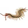 Collecta Surinktos PENTIKOS – ŠIMTAKOJAS – Surinktos – 88885 – L