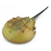 Collecta Figūrėlė - Limulus