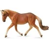 Collecta Figūrėlė - Haflindžerio ponis