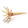 Collecta Figūrėlė - Orthoceras