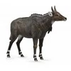 Collecta Figūrėlė - Mėlynoji antilopė