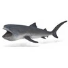 Collecta Megaburnis ryklys