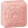 Colop COLOP little NIO Cleany Stamp Leo retail