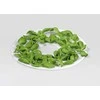 CONCEPT SO1020 Mushroom, Vegetable and Fruit Dehydrator