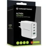 Carruzzo Conceptronic ALTHEA22W100 mobiliojo įrenginio kroviklis Universalus Balta AC Spartusis įkrovimas Vidaus