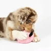 COOCKOO Bouncy Buddy rožinė 17cm (309/488478)