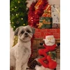 Cooper & Pals Beeztees Žaislas šuniui Kalėdų Senelis Spiralė 32 cm