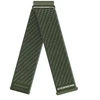 Coros Nailono apyrankė | Apex 4 (22mm), Žalia