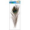 Craft with Fun Dekoratyvinis ornamentas Plunksnos 32cm 1pc Paw Pbh 20/1200