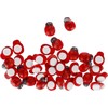 Craft With Fun Dekoratyvinės medinės boružėlės lipnios 13 mm, 35 vnt.