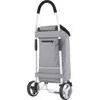 Aktivo Cruiser CLASSIC SUOMIJOS PREMIO 604360 KVADRUOKLAS