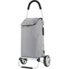 Aktivo Cruiser CLASSIC SUOMIJOS PREMIO 604360 KVADRUOKLAS