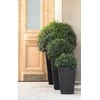 Curver Keter vazonas Rattan Planter, 57cm