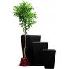 Curver Rattan Planter M 55,4 L ruda 228975