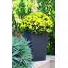 Curver Rattan Planter S 23,6 L antracytowa 228978