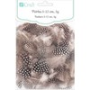 Dallprint Plunksnos putpelių 5-12cm, 5g