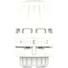 Danfoss Termostatinė galva 015G3630, REGUS M30
