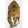 Dante Diamond siuvinėjimas Diamond Dotz Leopard medžioklėje 40x60cm DQ9007
