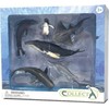 Collecta Jūrų gyvūnų rinkinys 6 el.