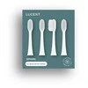 Dantų šepetėlis Be Lucent Spark soninių dantų šepetėlių keičiamų galvučių komplektas (4 vnt.), baltos