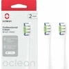 Dantų šepetėlio galvutės Oclean Professional Clean Šepetėlio galvutė P1C10 Pilkas 2pcs