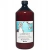 Davines NATURALTECH Well-Being Šampūnas geros savijautos šampūnas, 1000 ml
