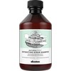 Davines NATURALTECH Detoxifying Scrub Šampūnas detoksikuojantis šampūnas su pilingu, 250 ml